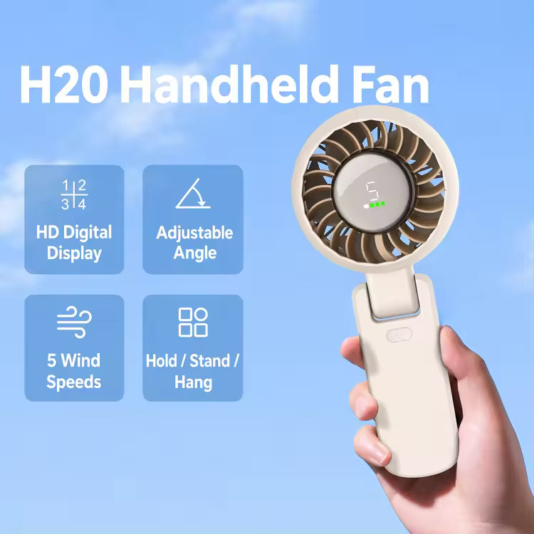 H20
